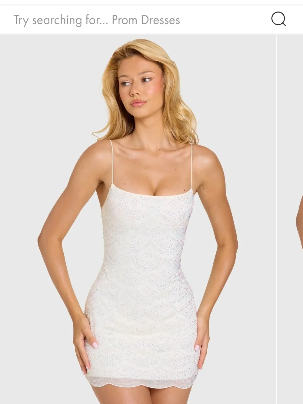 Oh Polly White Lace Mini Slip Dress